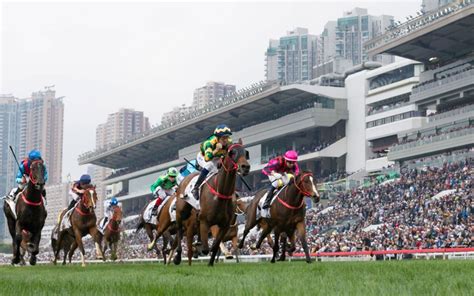 hong kong racing tips today.